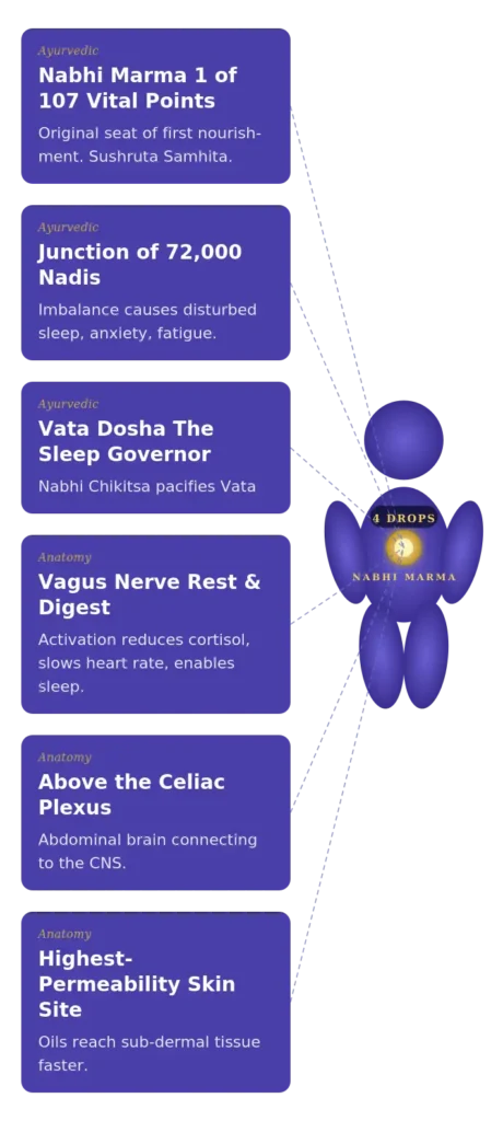 Dr. Ajayita, Gold Medalist BAMS ayurvedic doctor and founder of Ajayveda in the mobile