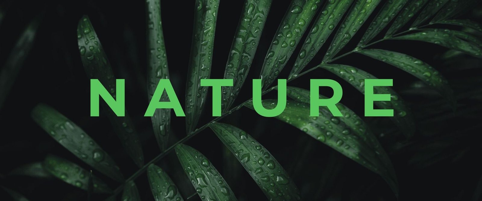 Nature Site slideshow